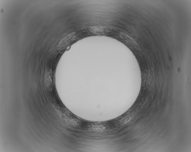 X0000060800702200512082150