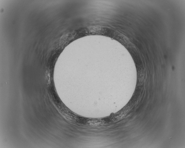 X0000060800703200512082150