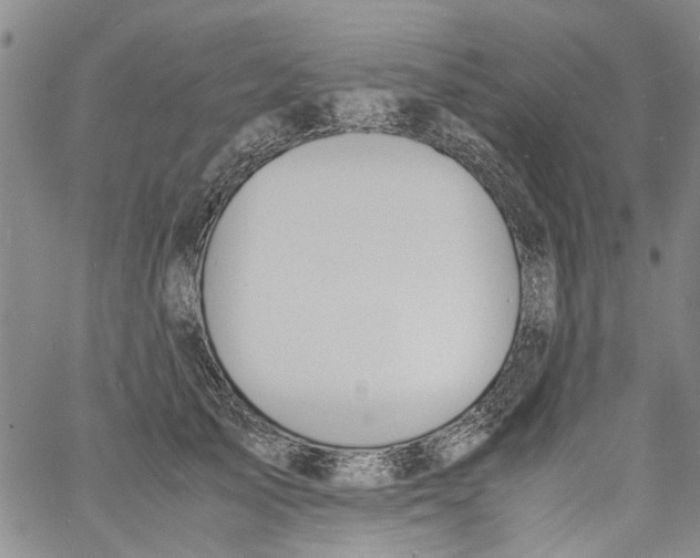 X0000060800705200512082150