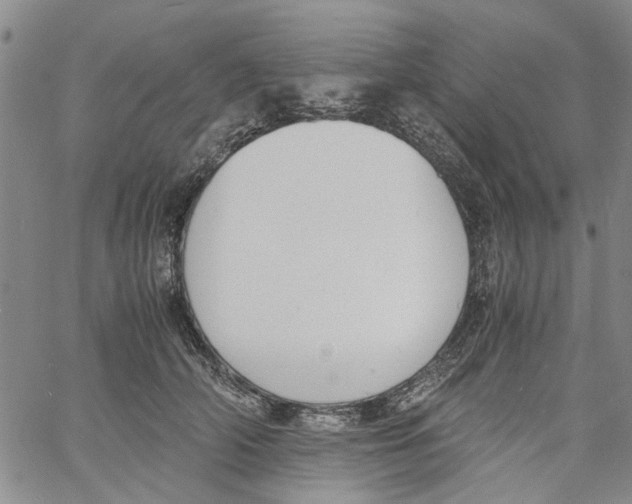 X0000060800706200512082150