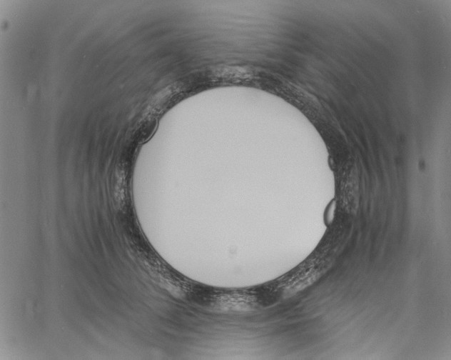 X0000060800708200512082150