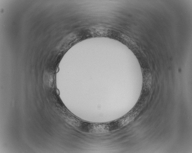 X0000060800709200512082150