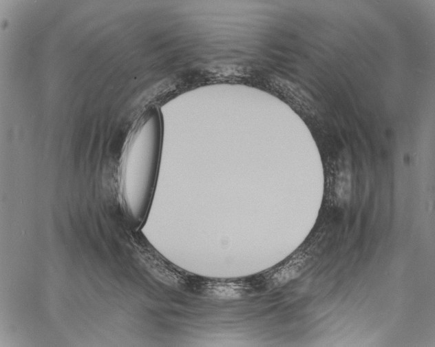 X0000060800710200512082150