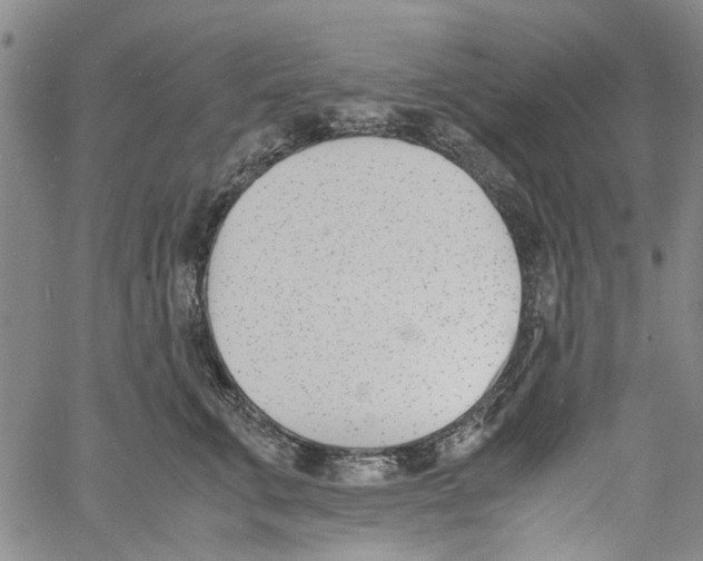 X0000060800711200512082150