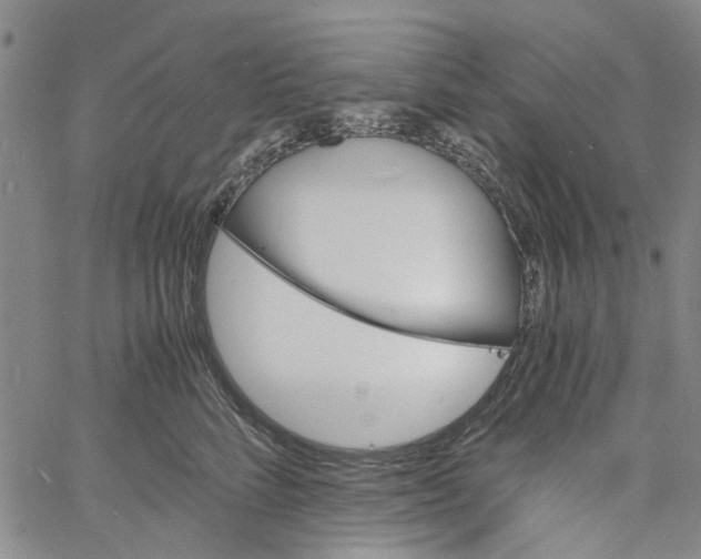 X0000060800712200512082150