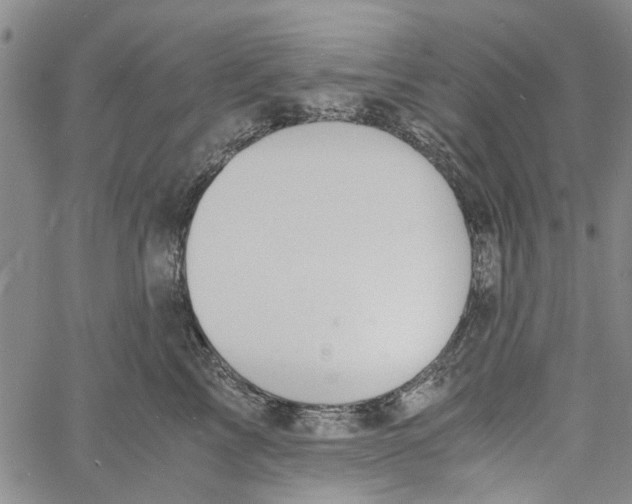 X0000060800713200512082150