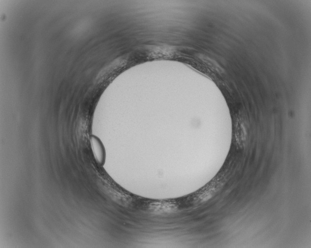 X0000060800714200512082150