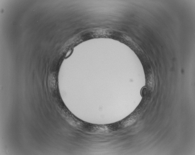 X0000060800715200512082150