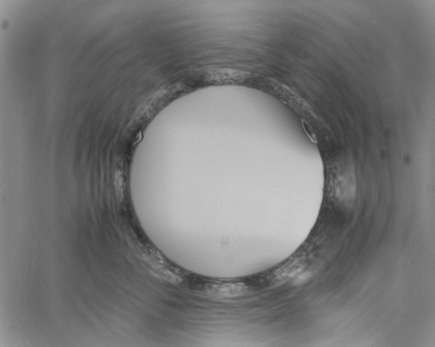 X0000060800716200512082150