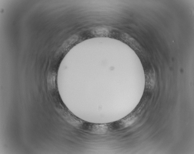 X0000060800717200512082150