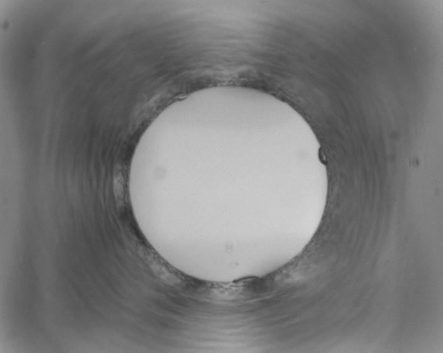 X0000060800720200512082150