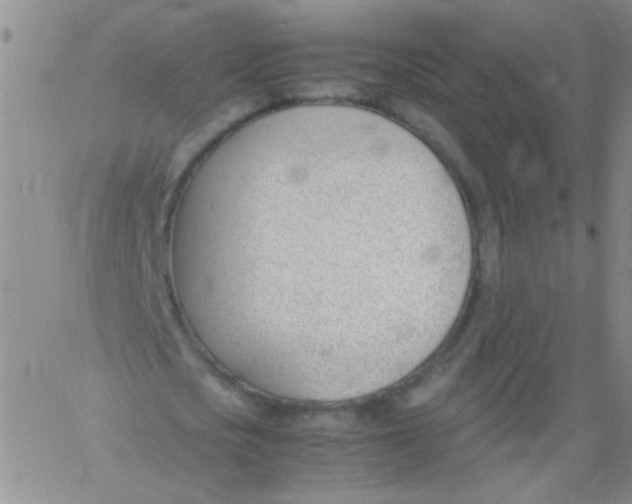 X0000060800721200512082149