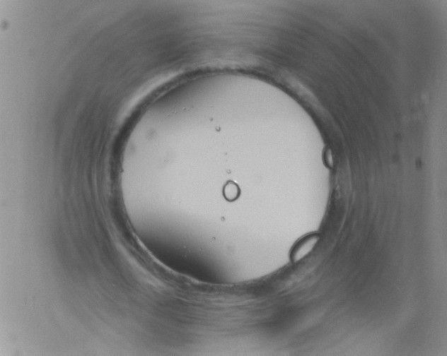 X0000060800722200512082149