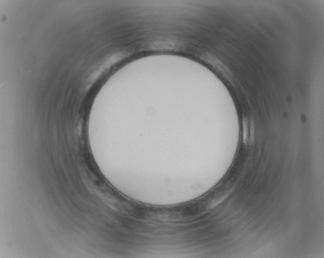 X0000060800723200512082149