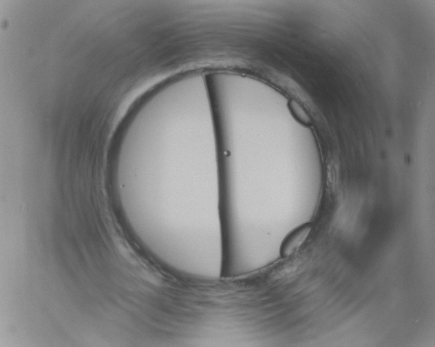 X0000060800724200512082149