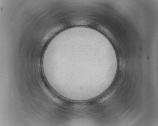 X0000060800725200512082149