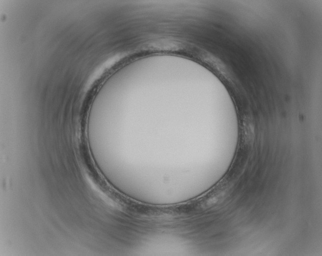 X0000060800726200512082149