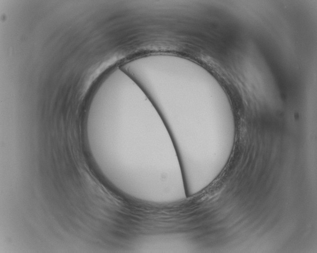 X0000060800727200512082149