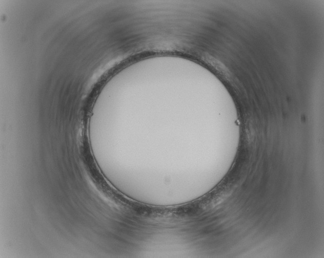 X0000060800728200512082149