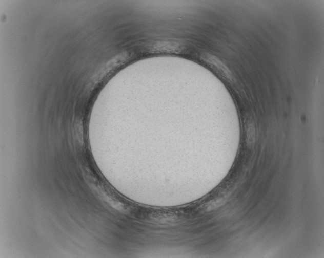 X0000060800729200512082149