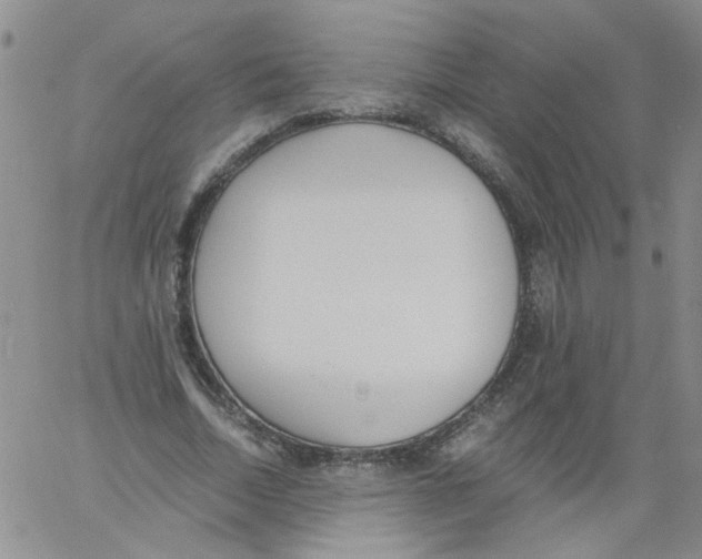 X0000060800730200512082149