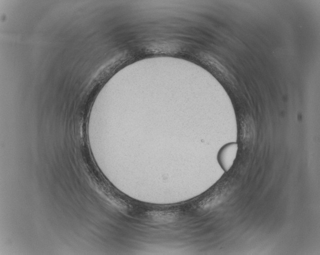 X0000060800733200512082149