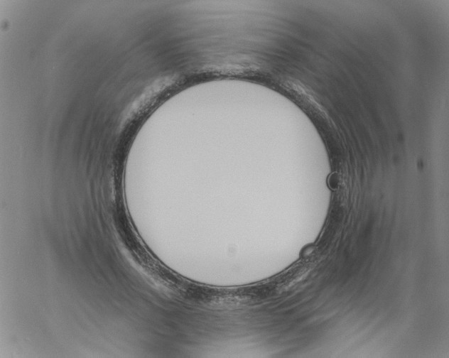 X0000060800734200512082149