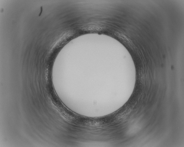 X0000060800735200512082149