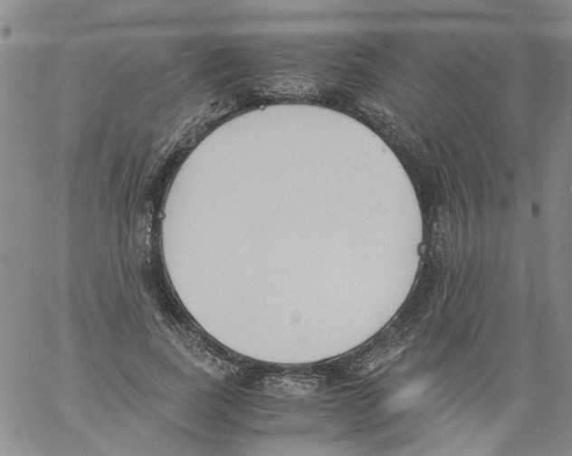 X0000060800739200512082149