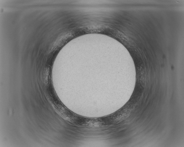 X0000060800742200512082149