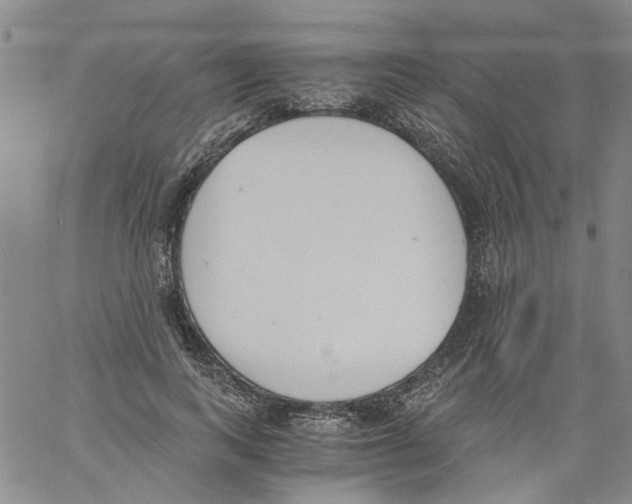 X0000060800743200512082149