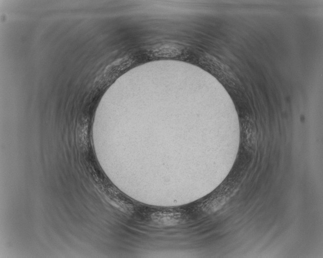 X0000060800745200512082149