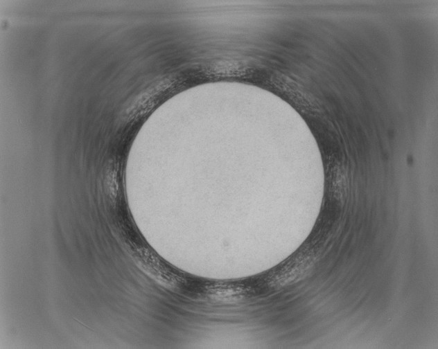 X0000060800746200512082149