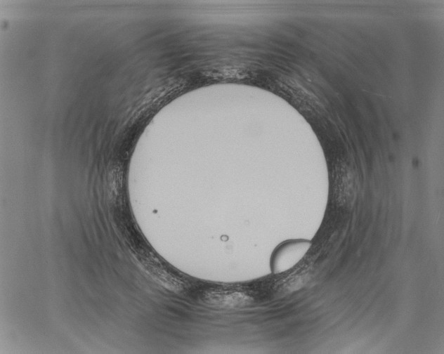 X0000060800747200512082149