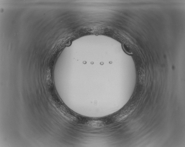 X0000060800748200512082149