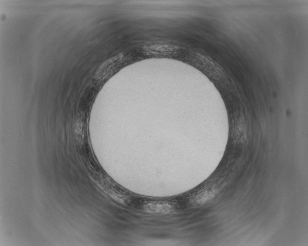 X0000060800749200512082149