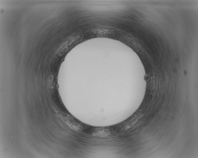 X0000060800750200512082149