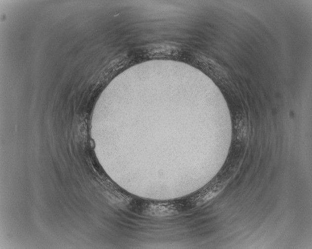 X0000060800753200512082149