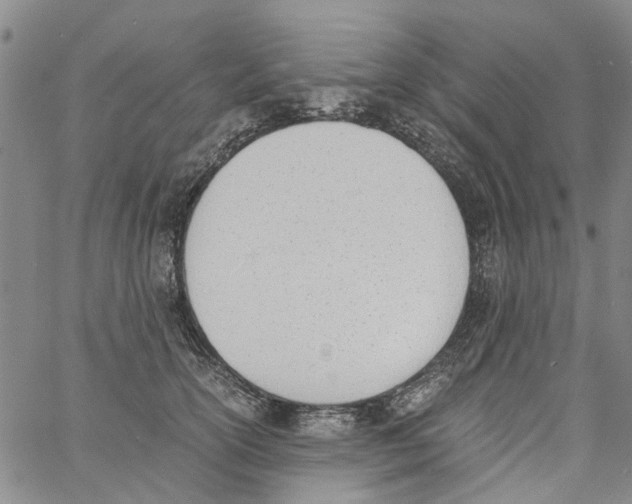 X0000060800754200512082149