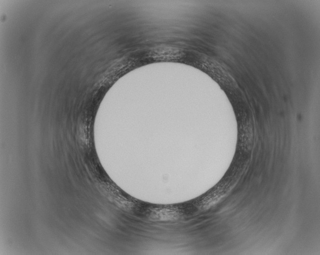 X0000060800755200512082149