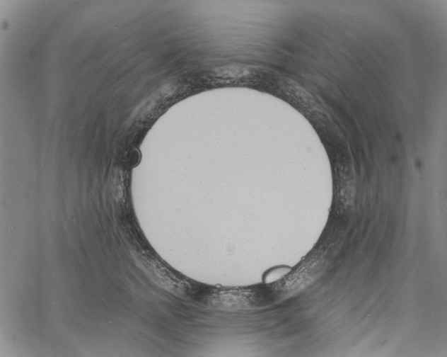 X0000060800758200512082149