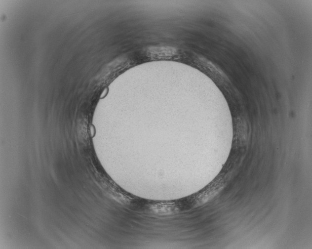 X0000060800761200512082150