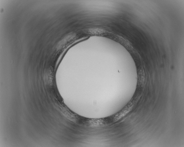 X0000060800762200512082150