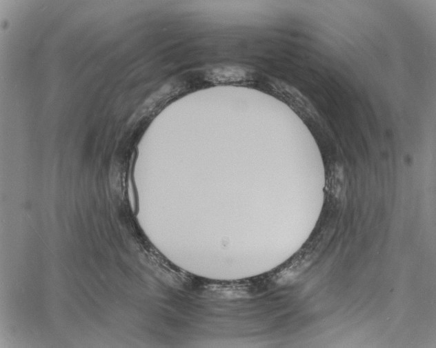 X0000060800763200512082150