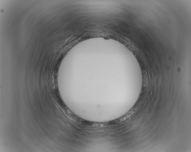 X0000060800764200512082150