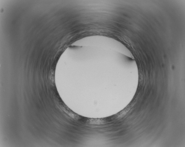 X0000060800766200512082150