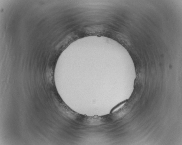 X0000060800767200512082150