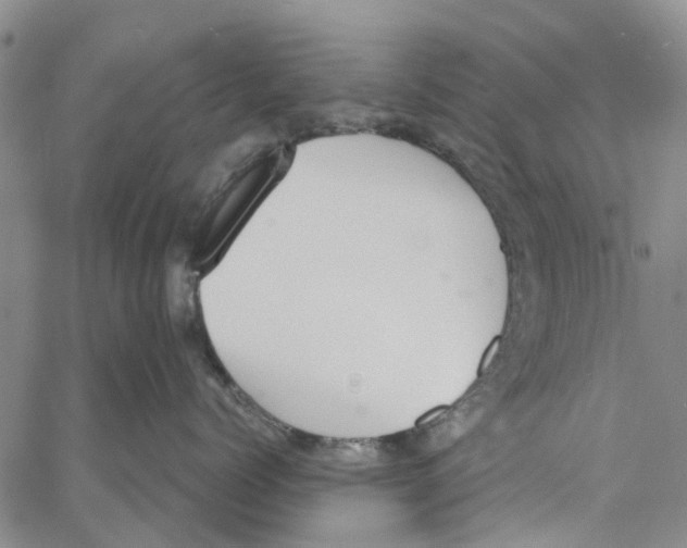 X0000060800768200512082150