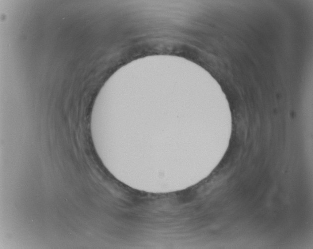 X0000060800769200512082149