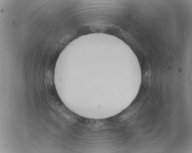 X0000060800772200512082149